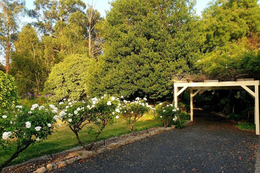 Bella Mia Tuscan Paradise Mount Gambier Ngoại thất bức ảnh
