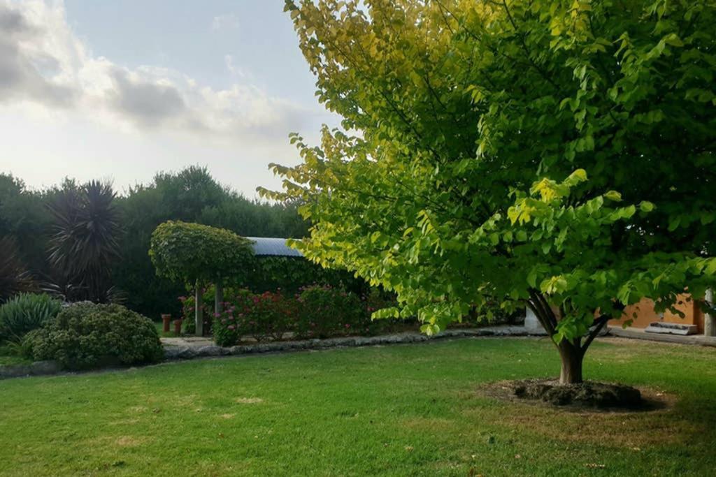 Bella Mia Tuscan Paradise Mount Gambier Ngoại thất bức ảnh