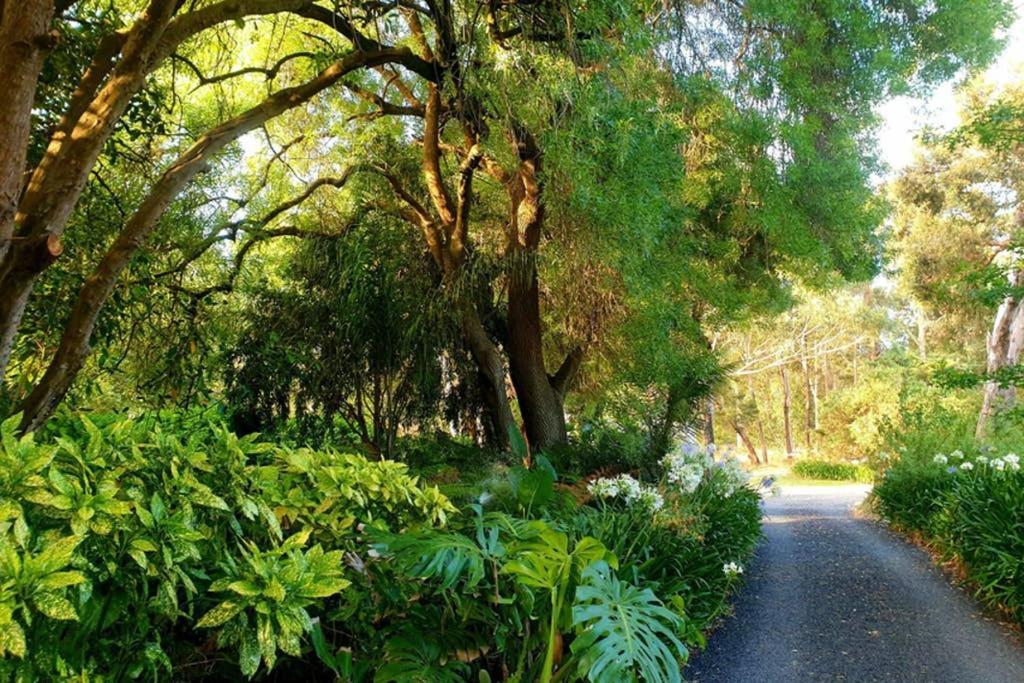 Bella Mia Tuscan Paradise Mount Gambier Ngoại thất bức ảnh